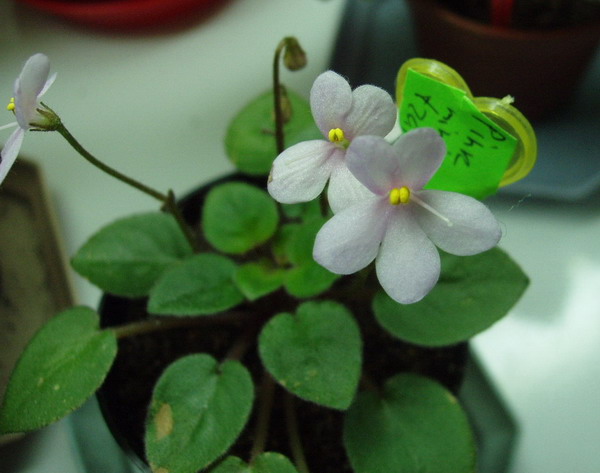 PB120002_01.jpg