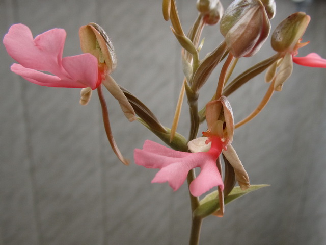 Изображение 024.jpg