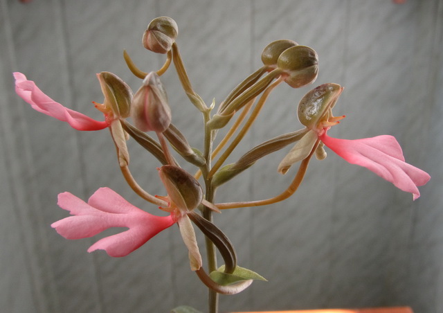 Изображение 022.jpg