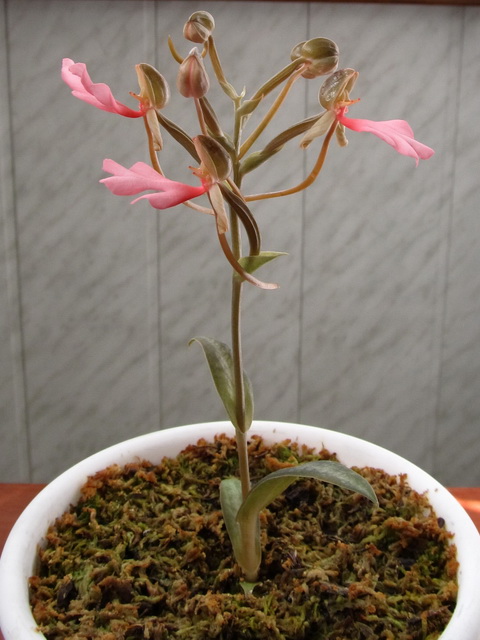 Изображение 021.jpg