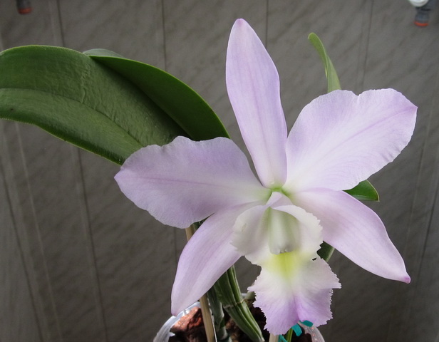 Изображение 032.jpg