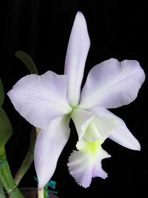 Изображение 016.jpg