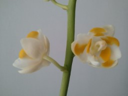 такие вот мы