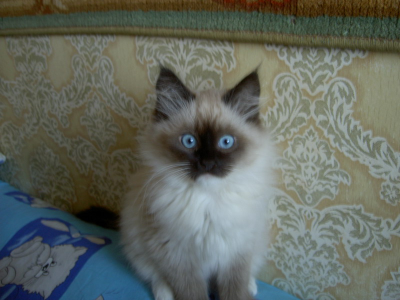 Misys-2.jpg