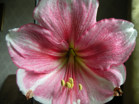 DSCN9607.JPG