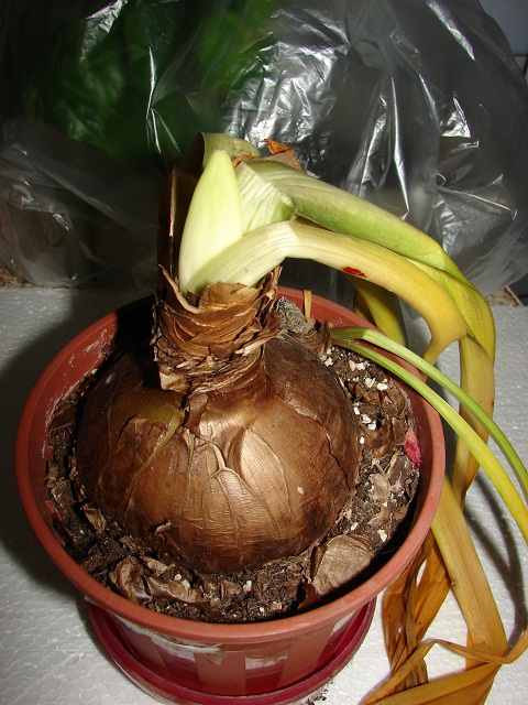 201012.jpg