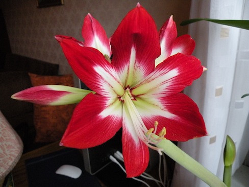 DSCN9839.JPG