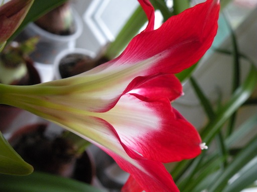 DSCN9844.JPG