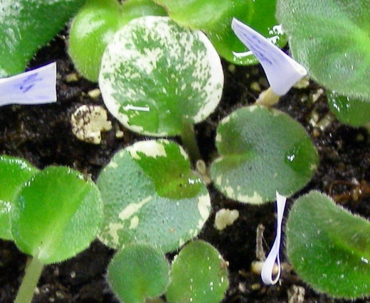 PC2032871.jpg