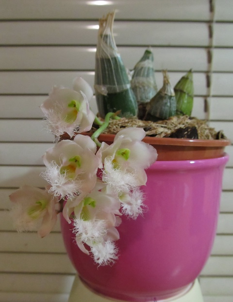 IMG_2268 - копия.jpg