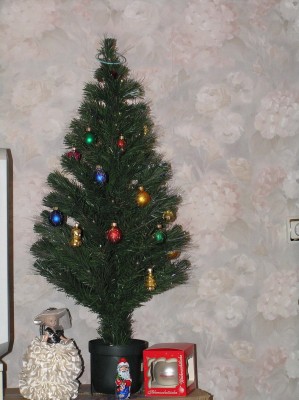PC245558.jpg