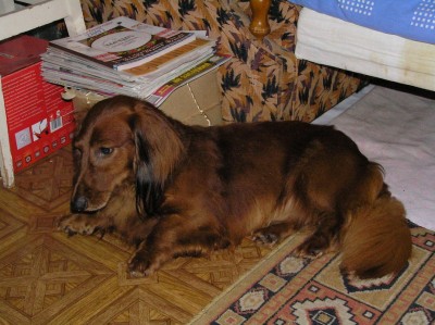 PB275516.jpg